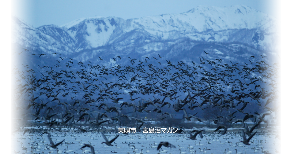 ゆったりとやすらぎの生活をサポートします